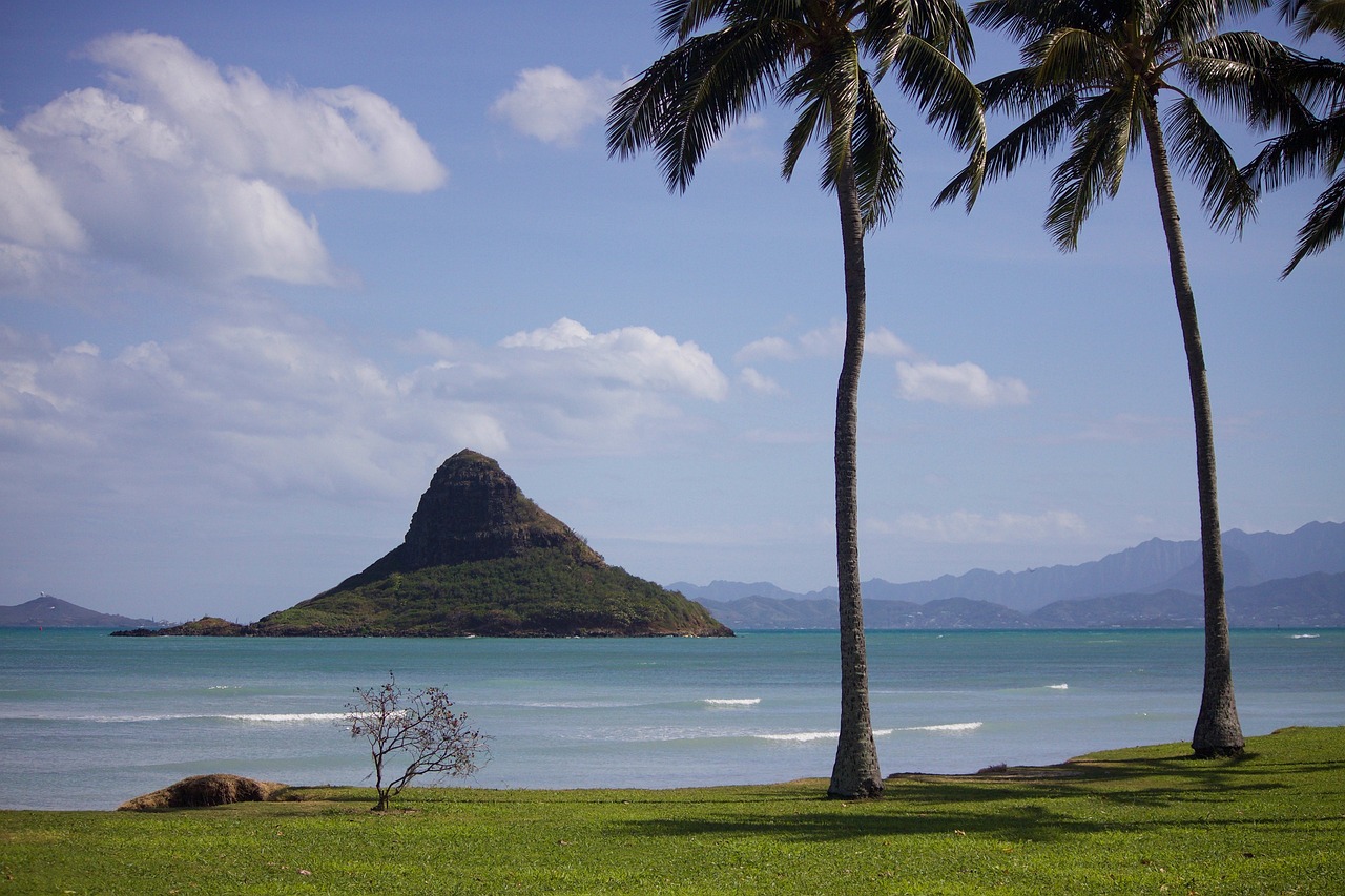 hawaii, oahu, beach-2038861.jpg